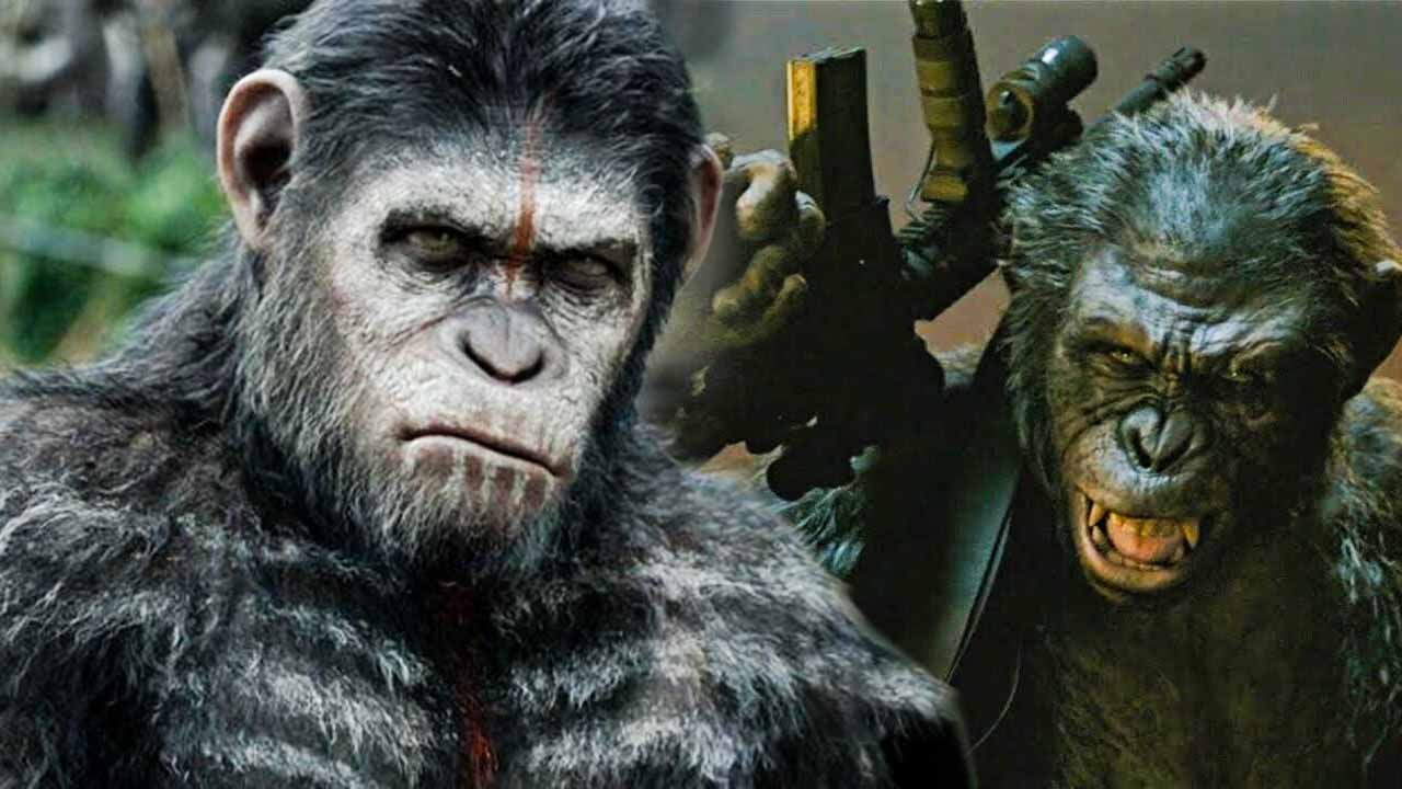 Ormanın Taht Oyunları: Ngogo Şempanze Savaşı ve Primat Politikasının Karanlık Yüzü